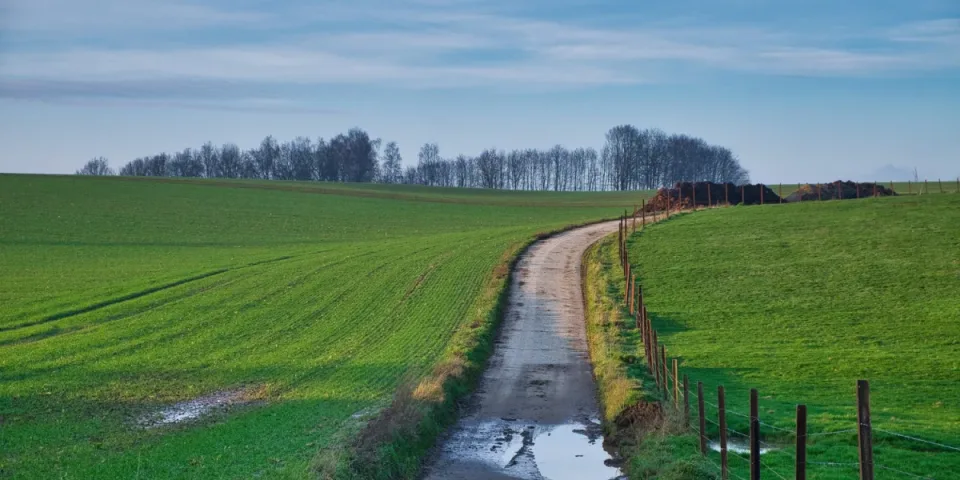 Jakie mecze piłki nożnej warto obejrzeć? Przewodnik po najważniejszych starciach tego sezonu!